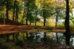 In The Autumn For...