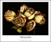 Beauty that lasts