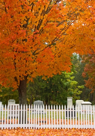 Local cemetary--New England fall scene