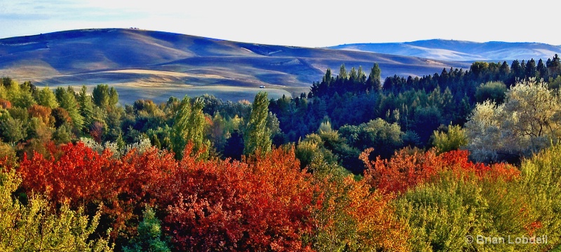 University of Idaho Arboretum & Palouse Hills