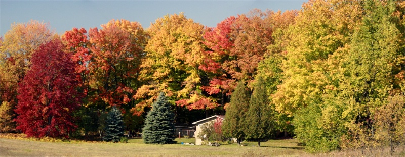 Fall color panorama