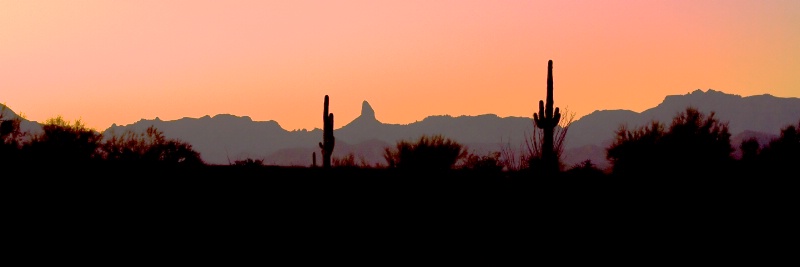 Golden Desert Pano