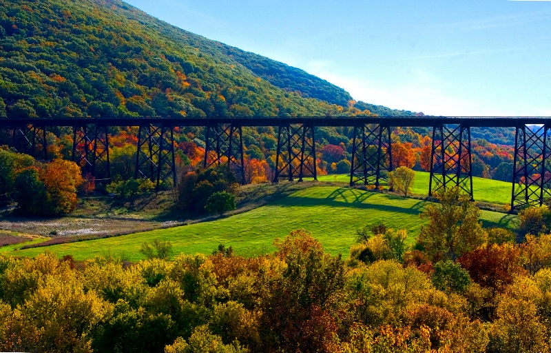 Fall Foliage