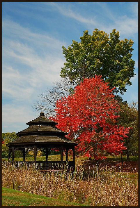 Fall Gazebo 2...