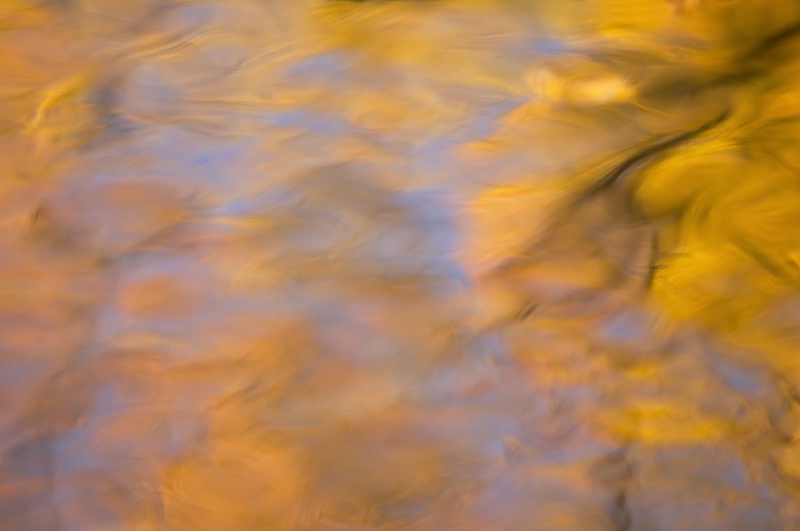 Water Color Sycamore Impression - ID: 7214023 © Karen L. Messick