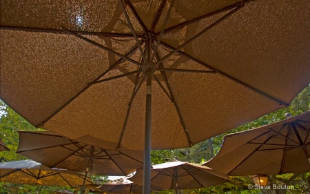 Umbrellas of Biltmore