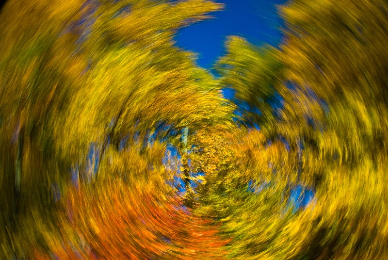 Whirlwind Colors Of Fall