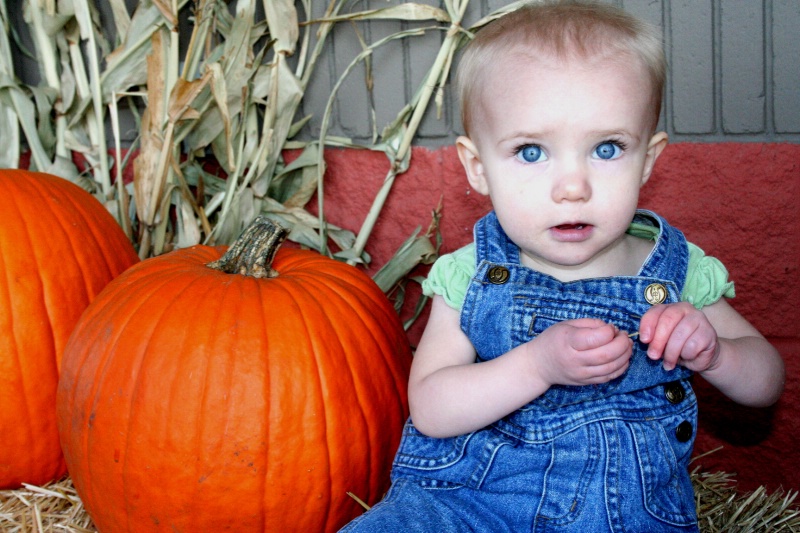 Pumpkin girl2