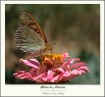 Poem of Nature