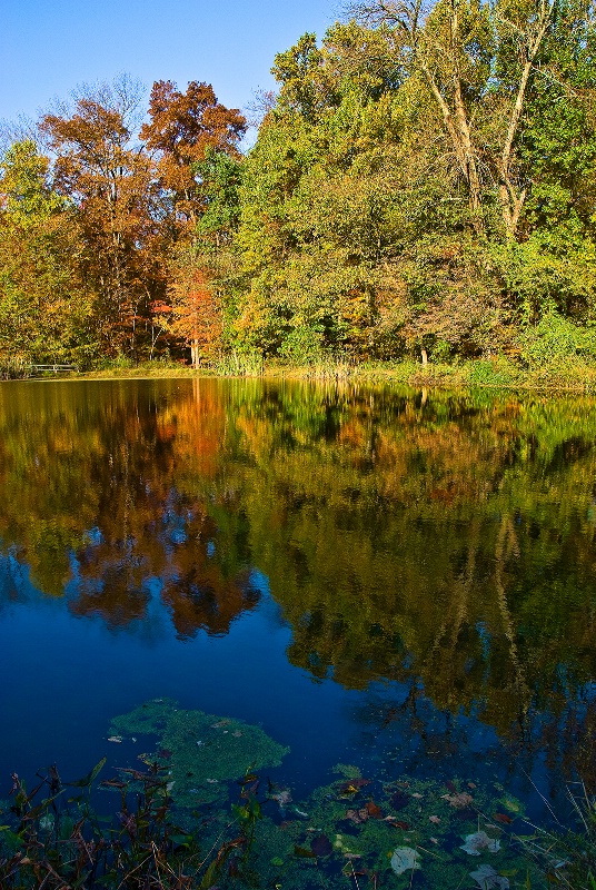 Doubling Up On Autumn