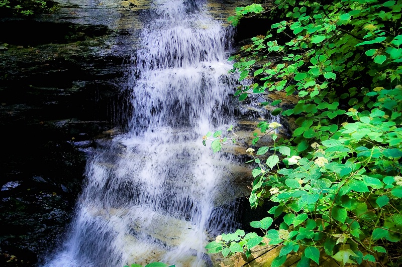 Rickets Glenn State Park 2