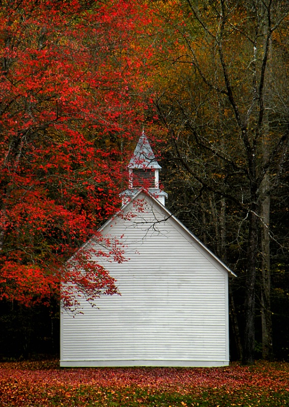 Austere Church Amid Nature's Splendor