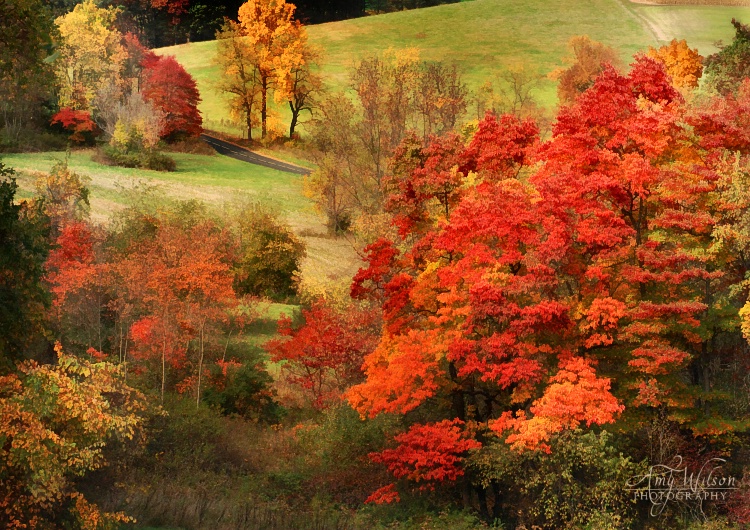 Autumn Countryside