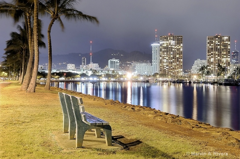 My Favorite Bench