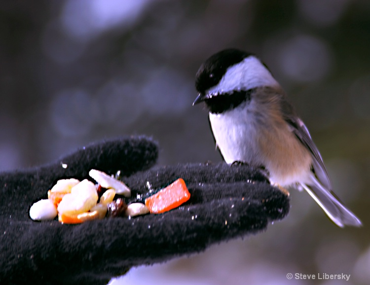 The Hand That Feeds You