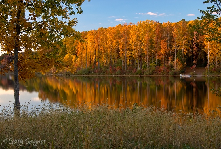 Fall at the lake.