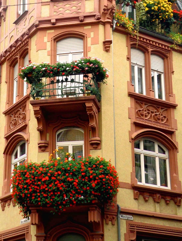 Windows on Heidelberg