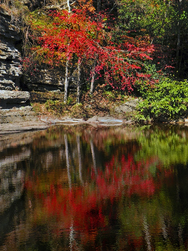 Fall Creek Reflection