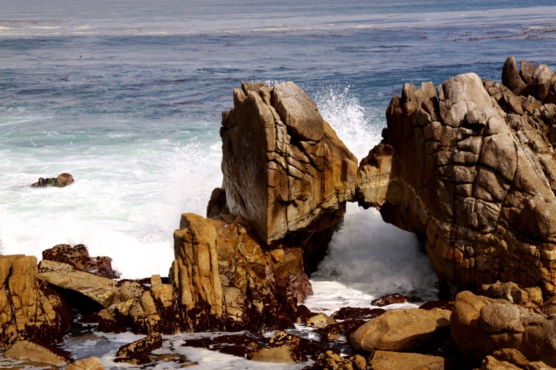 Sculpted By The Ocean - Monterrey Bay
