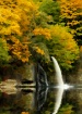Lewis River Fall ...