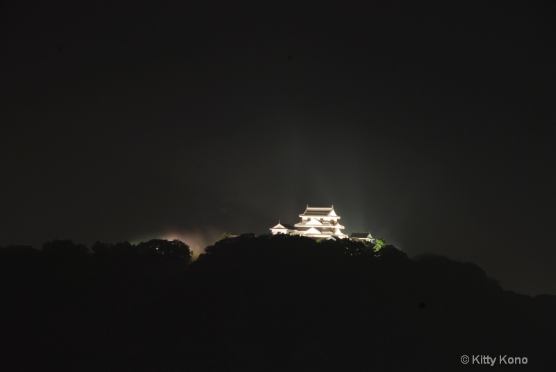 Matsuyama Castle - ID: 7291833 © Kitty R. Kono