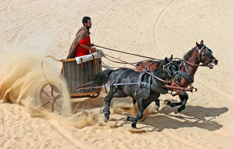 Chariot Racer - ID: 7297233 © Michael Kelly
