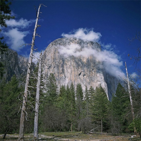As clouds float by,   Yosemite NP  CA.