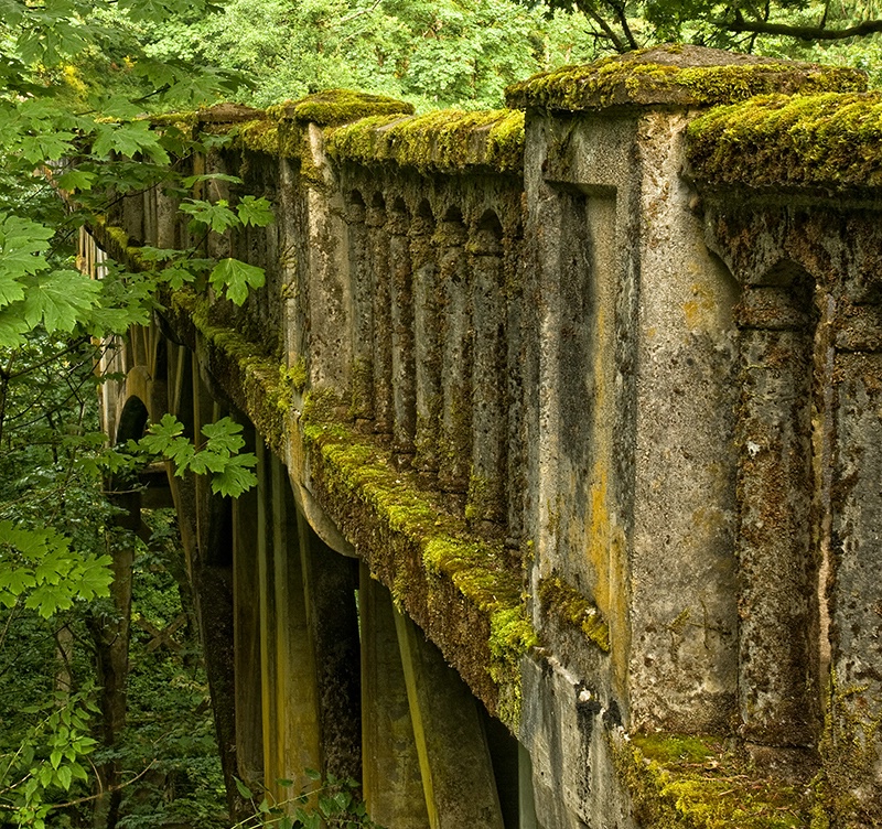 Moss Covered Bridge
