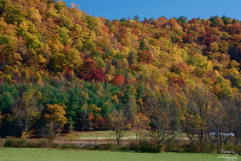 NC Mountains