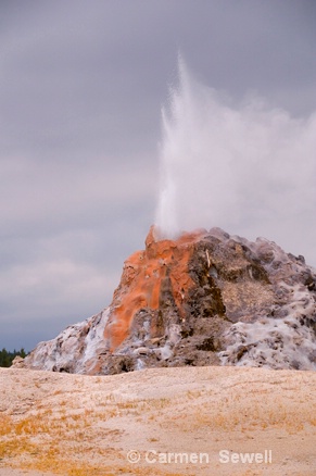 Castle Geyser - ID: 7316065 © Carmen B. Sewell