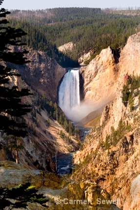 Lower Falls of the Yellowstone river - ID: 7316080 © Carmen B. Sewell