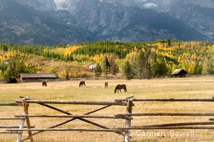 Ranch, Grand Teton NP - ID: 7316082 © Carmen B. Sewell