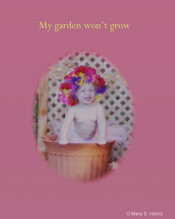 My garden won't grow