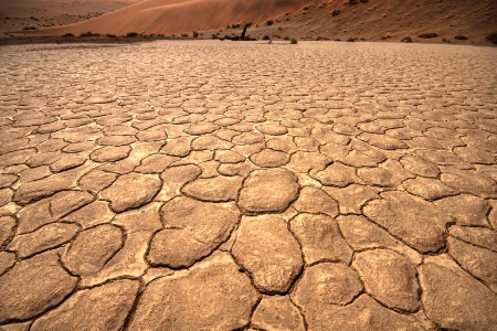 Mud Cracks