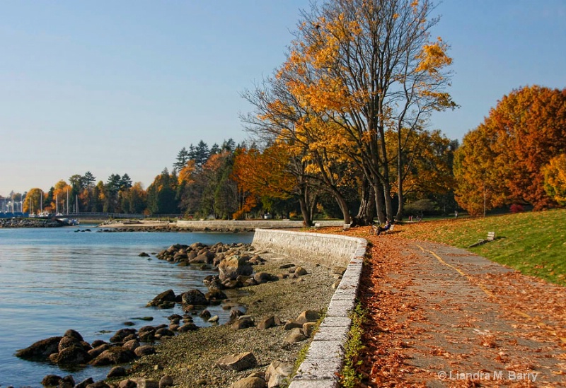 Seawall - ID: 7326219 © Liandra Barry 