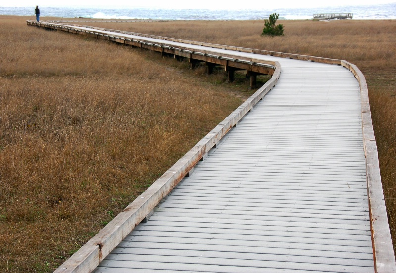 Beach-Side Walking Platform