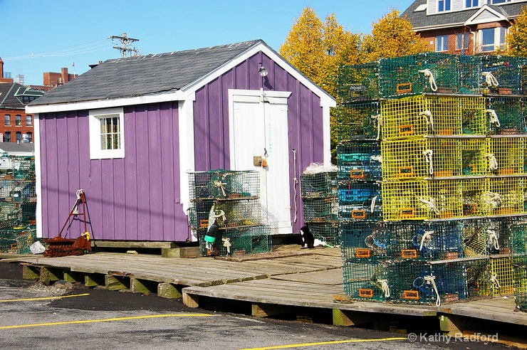 The Purple Fishing Shanty