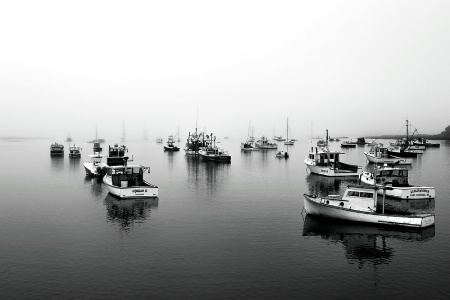 Harbor Mist