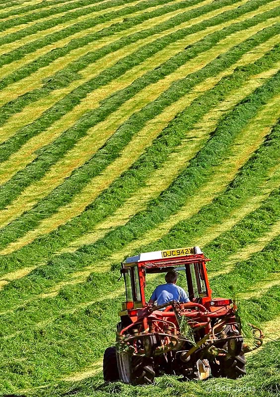 Make Hay Etc...