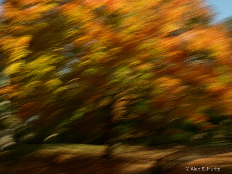 Autumn In Central Park