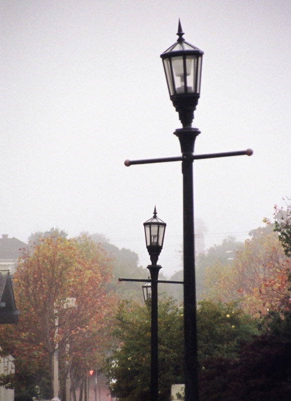 Lamp posts in the fog..