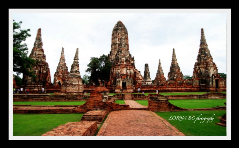 one lucky afternoon in Ayutthaya... 