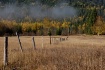 Don't Fence M...