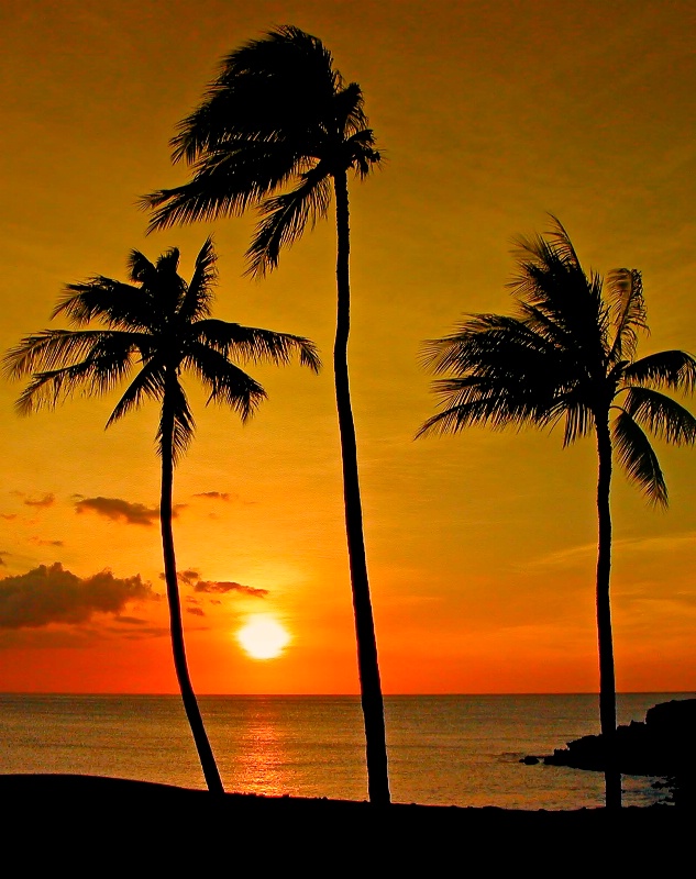 Autumn Sunset Hawaii