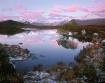 Pink Dawn Rannoch
