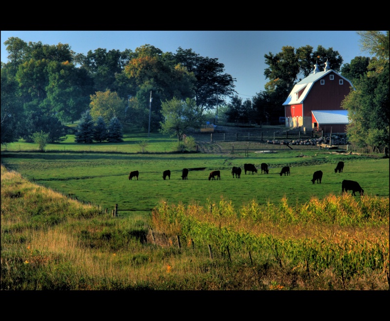 Dawn at the farm, Iowa