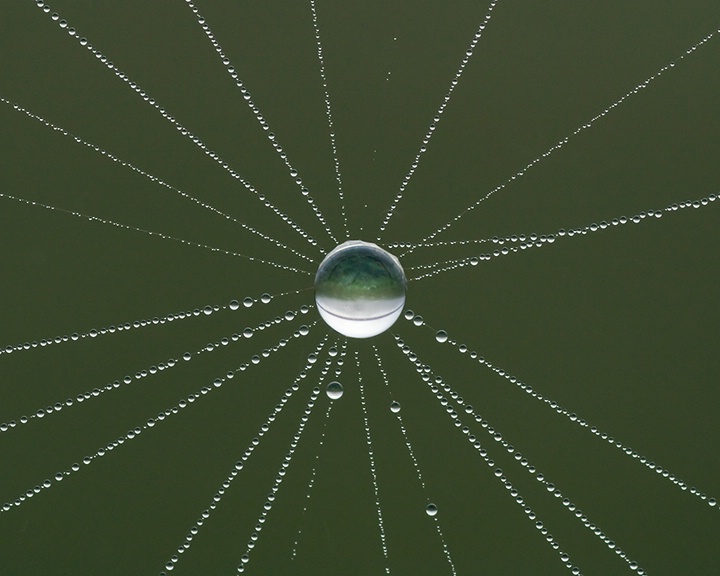 Webwork