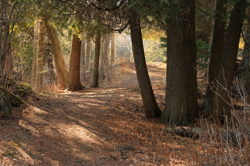 Cascade Pathway