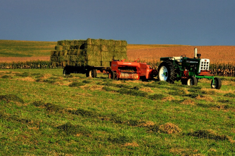 Hay Time