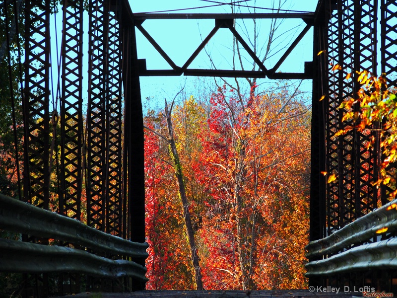 a bridge into fall 